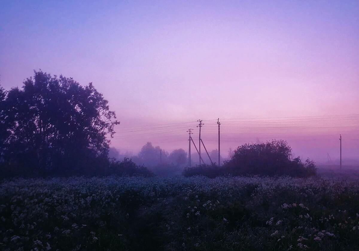 樊振东蛇年最后一战！德甲联赛赢1场输1场，单打逆袭、双打惜败